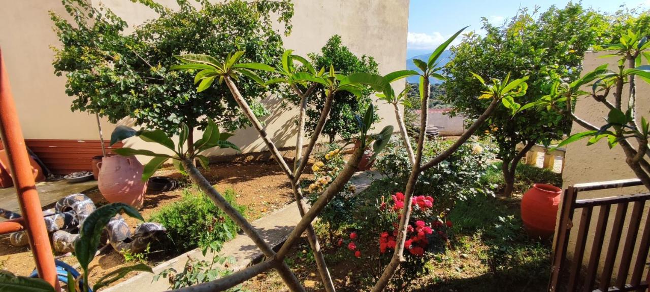 Village House With A Nice Garden Stérnai المظهر الخارجي الصورة